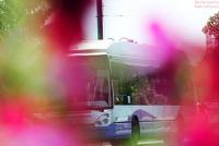 Imagine atasata: IMG_0049.JPG